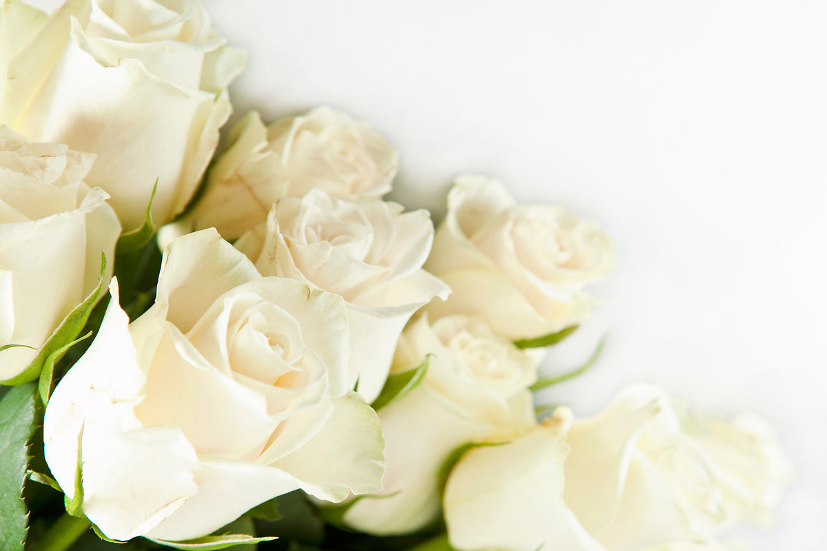 framedcanvas-print-white-roses