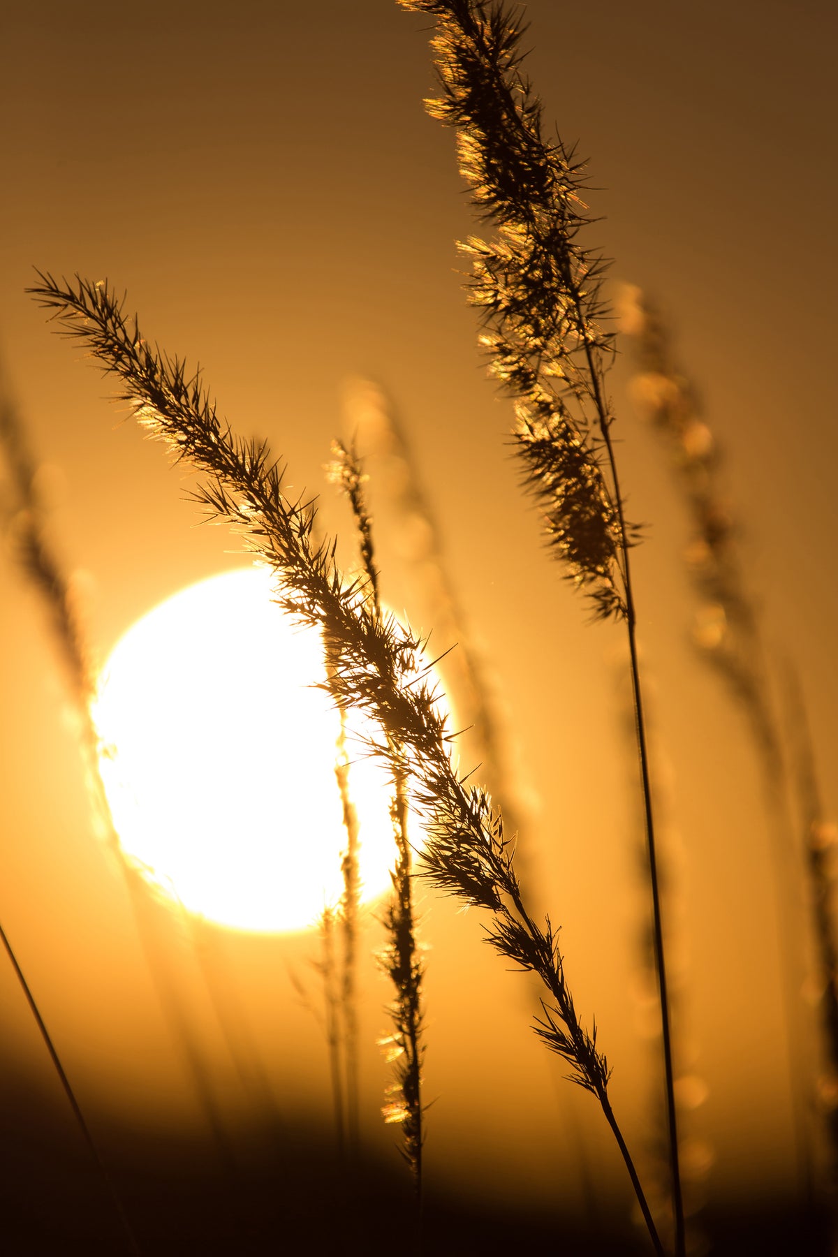 framedposter-print-romantic-sunset