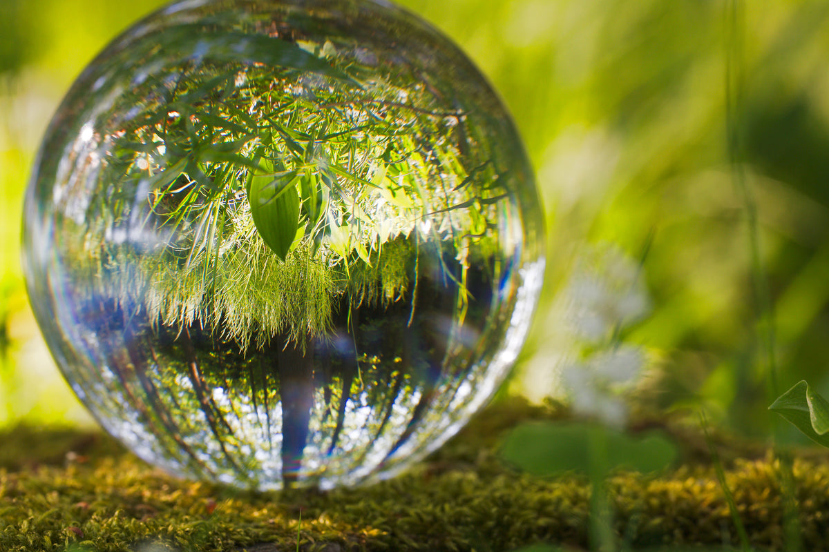 acrylic-print-nature-ball