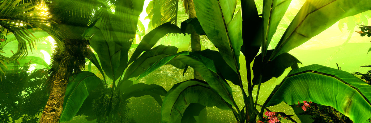 panoramic-3-piece-aluminium-print-sunrise-in-the-rainforest-panorama