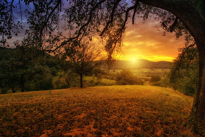 poster-print-a-landscape-in-the-sunset