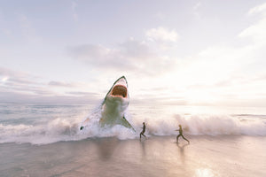 framedposter-print-beware-shark