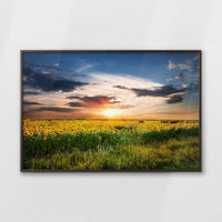 LWN120W080