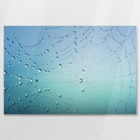 AC-075W050