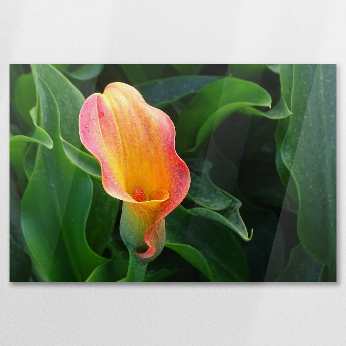 AC-075W050