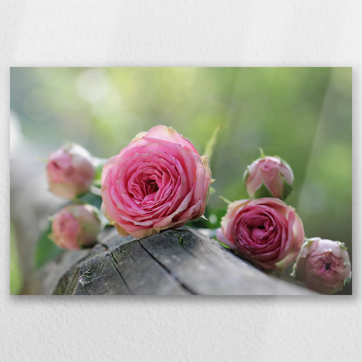 AL-045W030