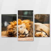 AC-150T100