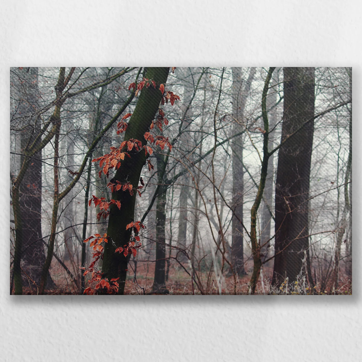 LW-030W020