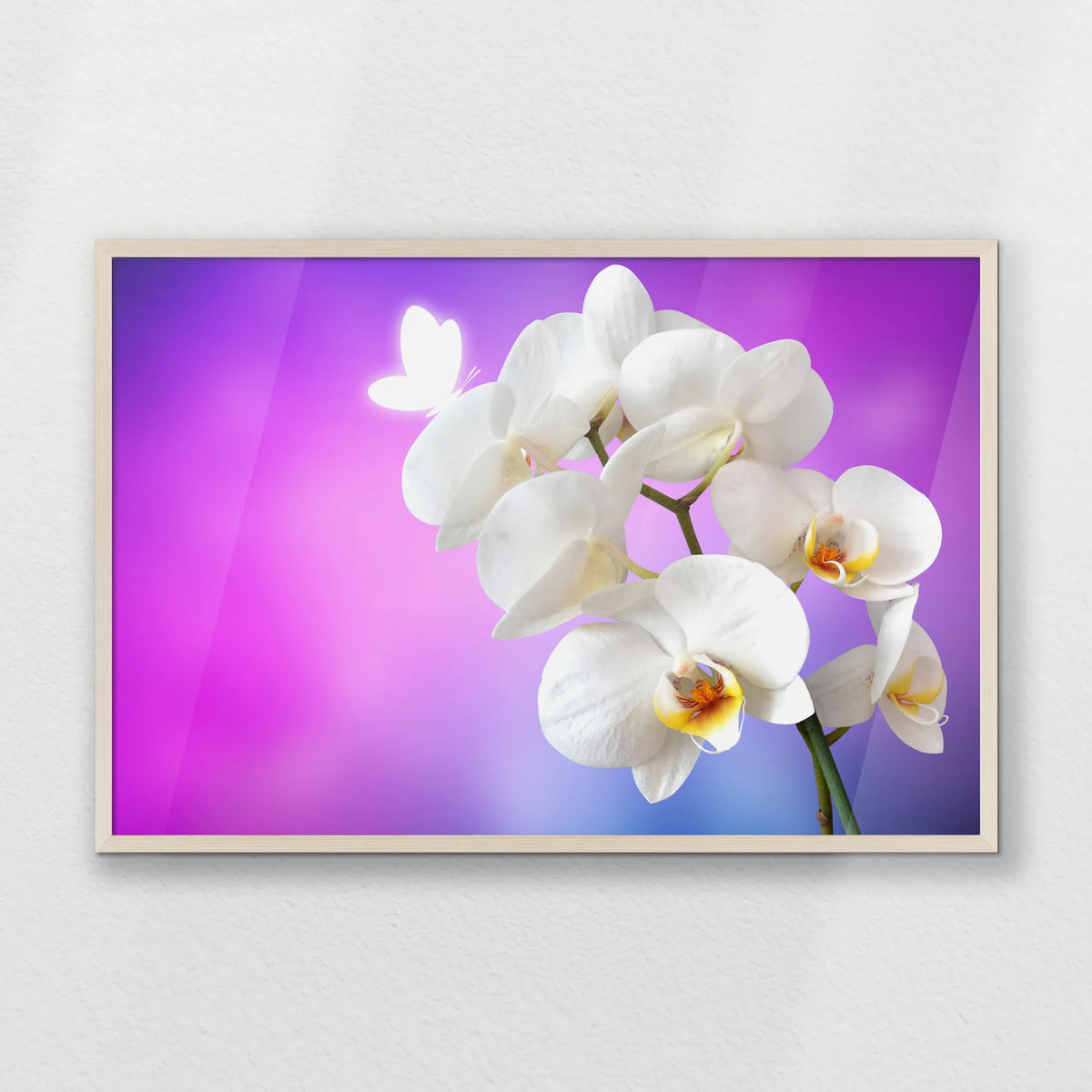 PN-093W062