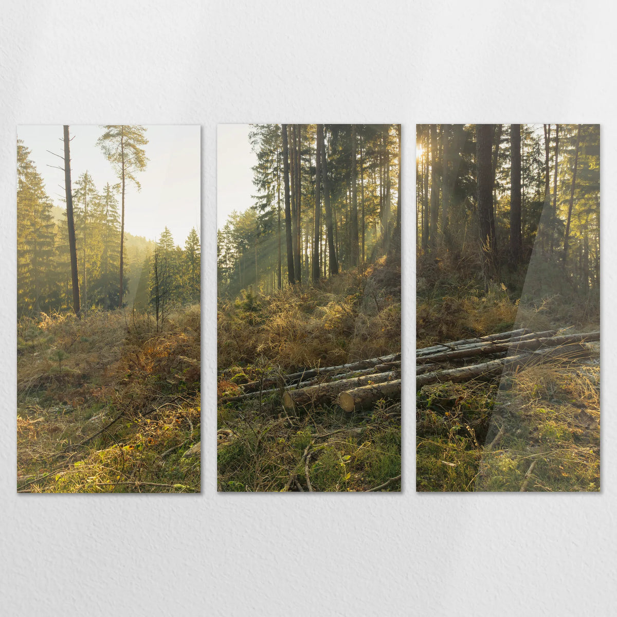 AC-180R120