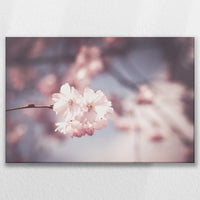LW-075W050