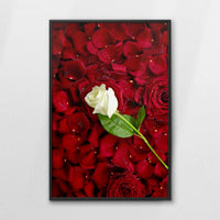 LWB080W120