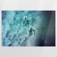 PO-075W050