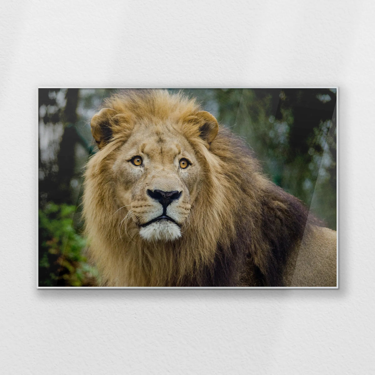 PS-120W080
