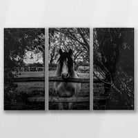 LW-060R040