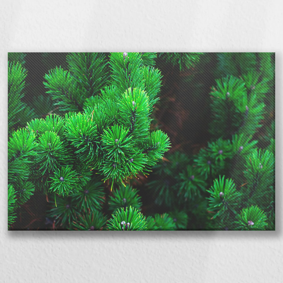 LW-045W030
