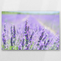 AC-060W040