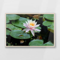 PN-093W062