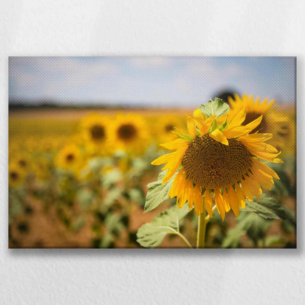 LW-045W030
