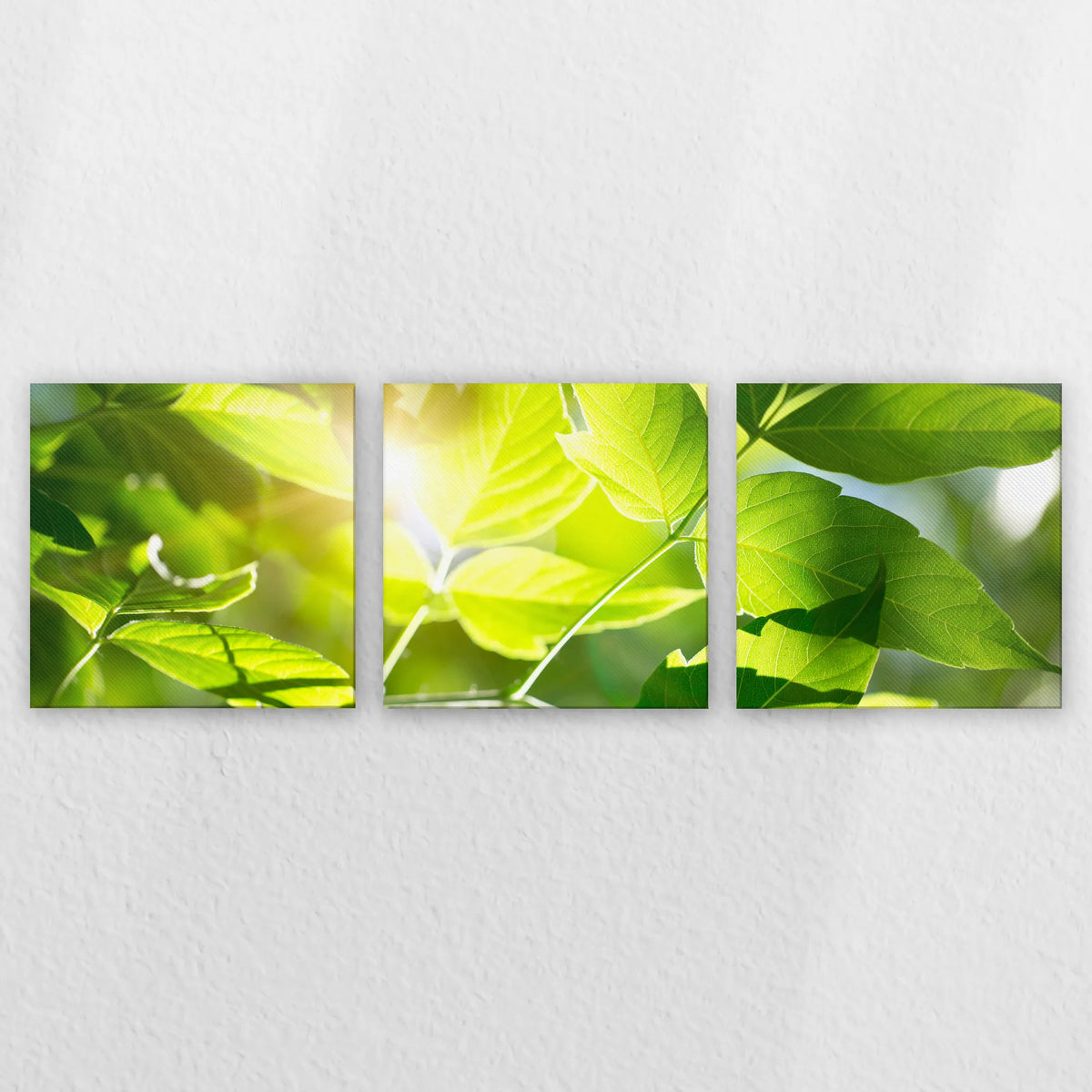 LW-240S080