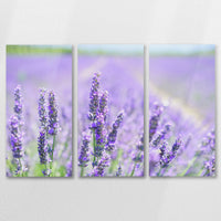 AL-090R060