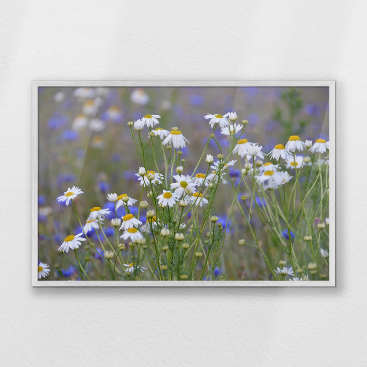 PW-093W062