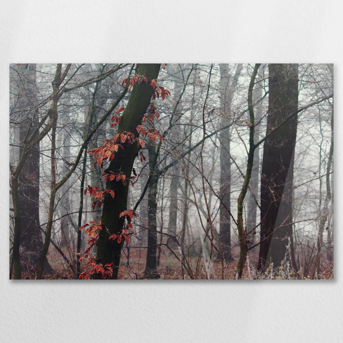 AC-090W060