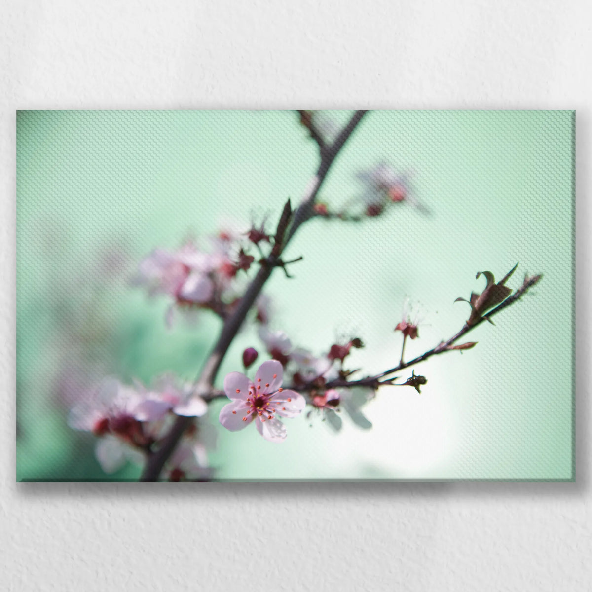 LW-045W030