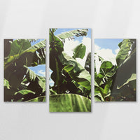 AL-150T100