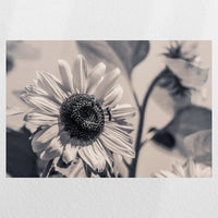 PO-030W020