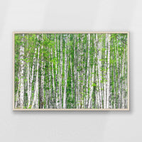 PN-100W070