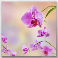 LW-050W050