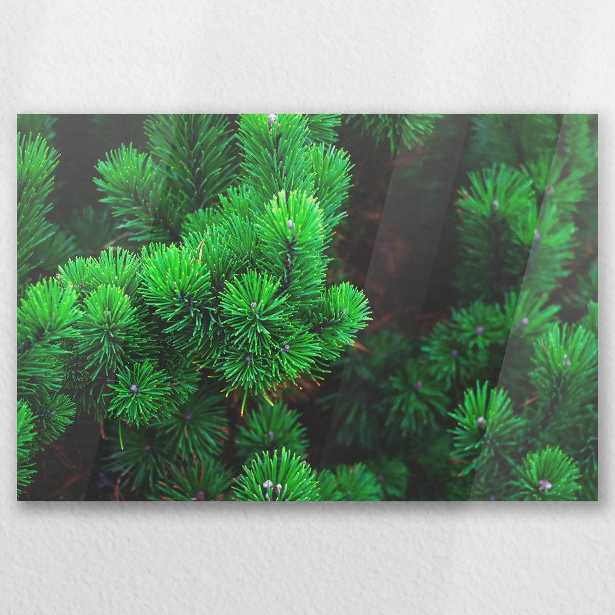 AC-060W040