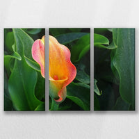 LW-060R040