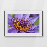 PBP093W062