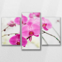 LW-090T060