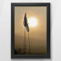 LWB020W030
