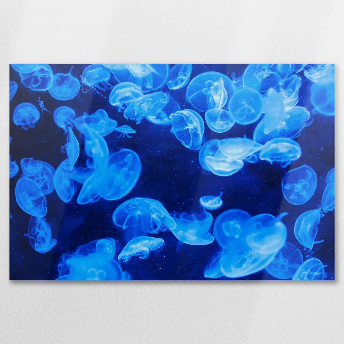 AL-075W050