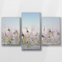 LW-060T040