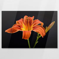 AC-075W050