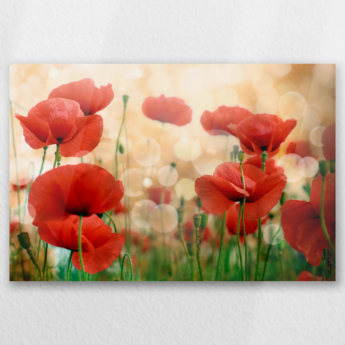 AC-030W020