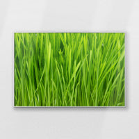 PS-120W080