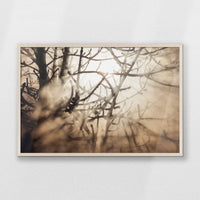 PN-093W062