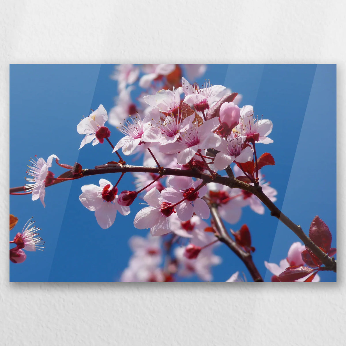 AC-060W040