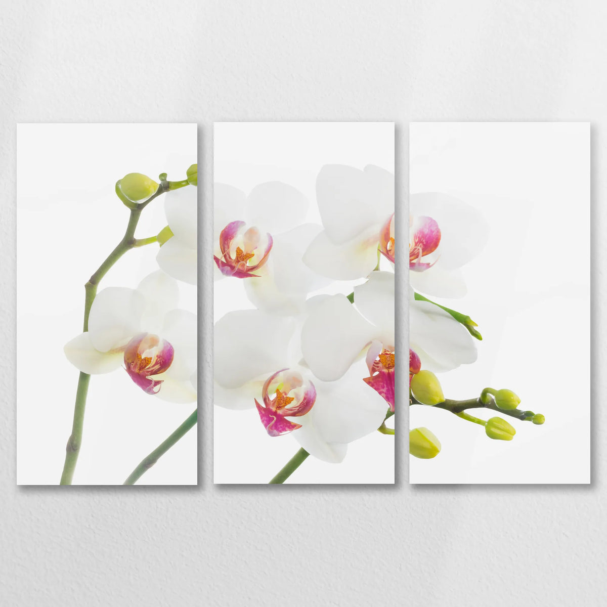 AC-090R060