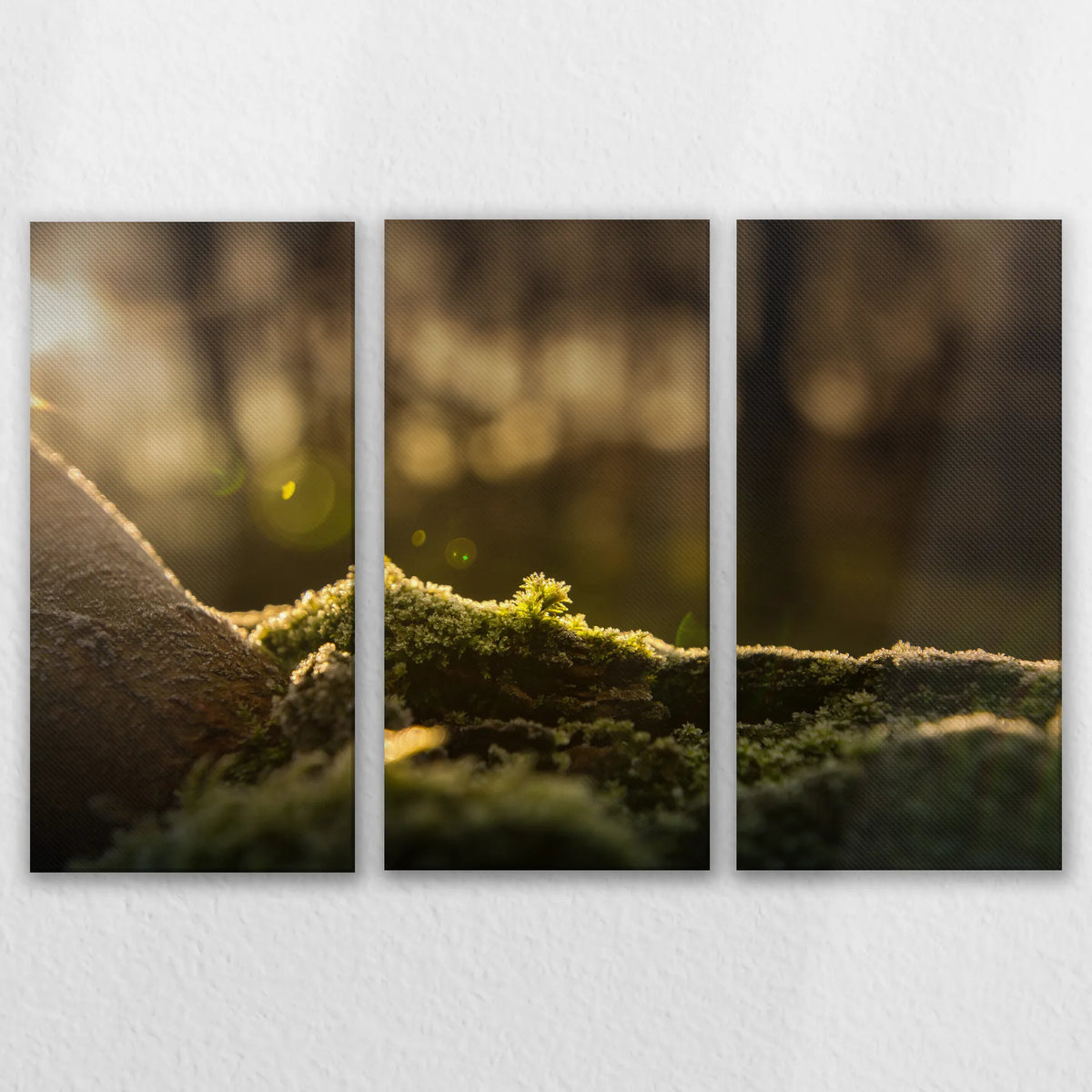 LW-150R100