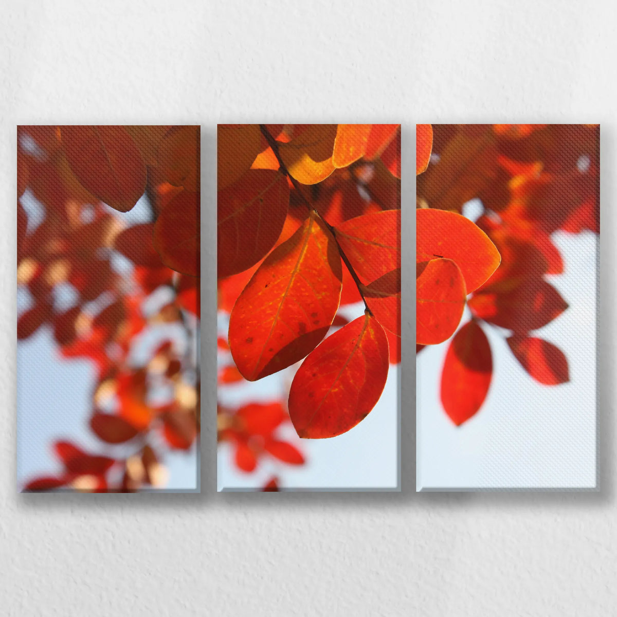 LW-060R040
