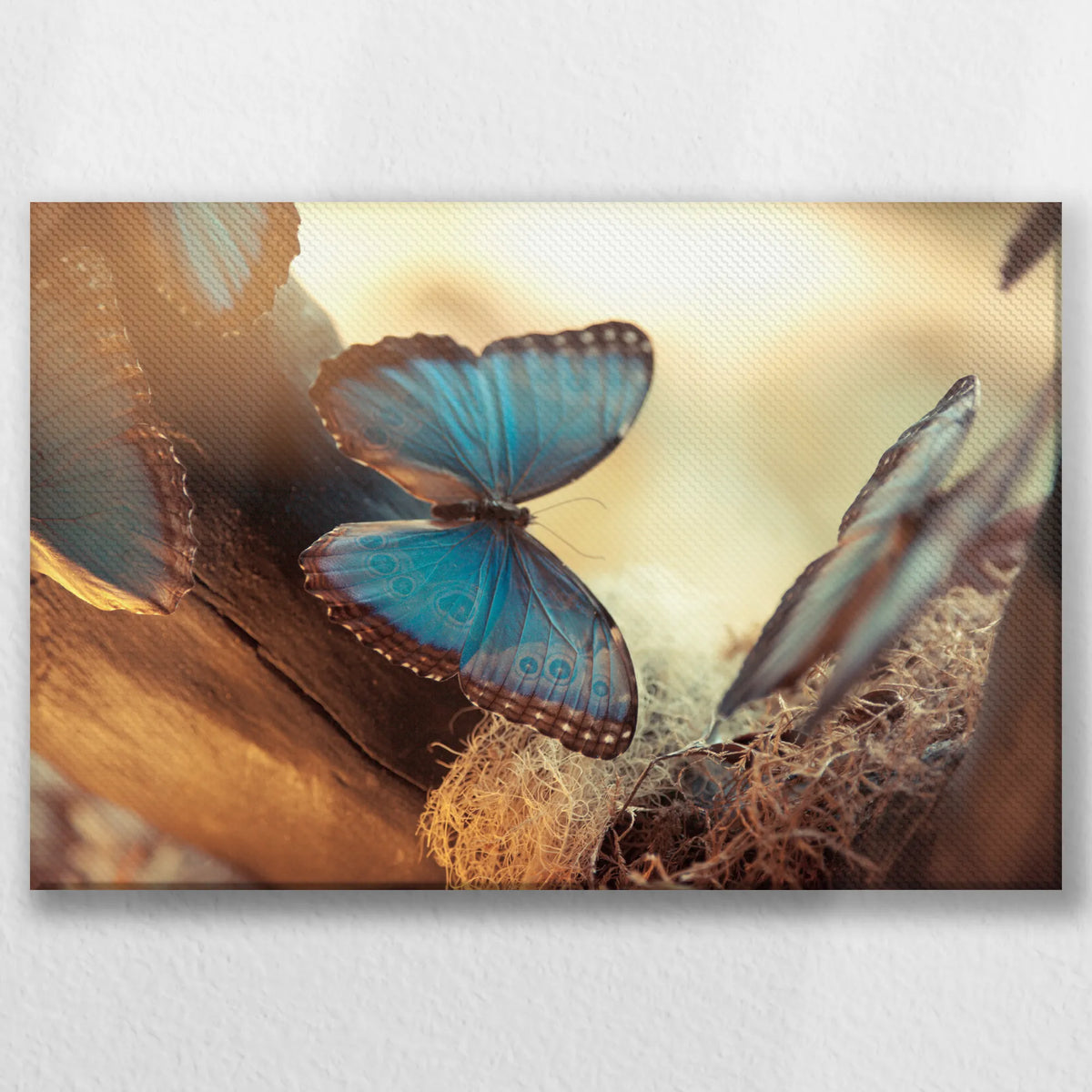 LW-030W020
