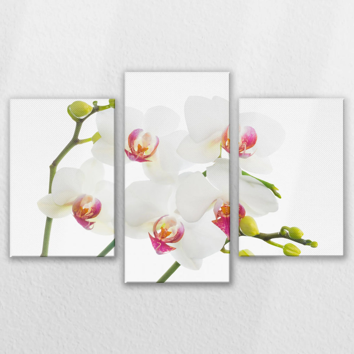 LW-150T100