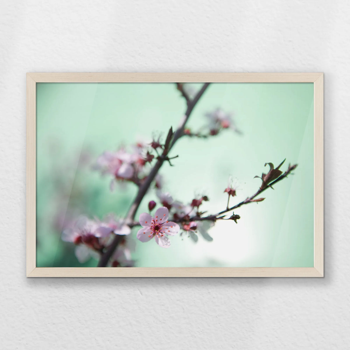 PN-060W040